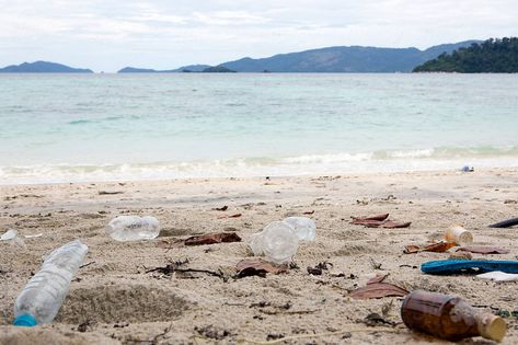 Plastic bottles and other waist washed on the beach. Trash On Beach, Plastic Trash, Clean Beach, Ap Art, Screen Savers, Plastic Bottles, The Beach, Royalty Free Stock Photos, Stock Photos