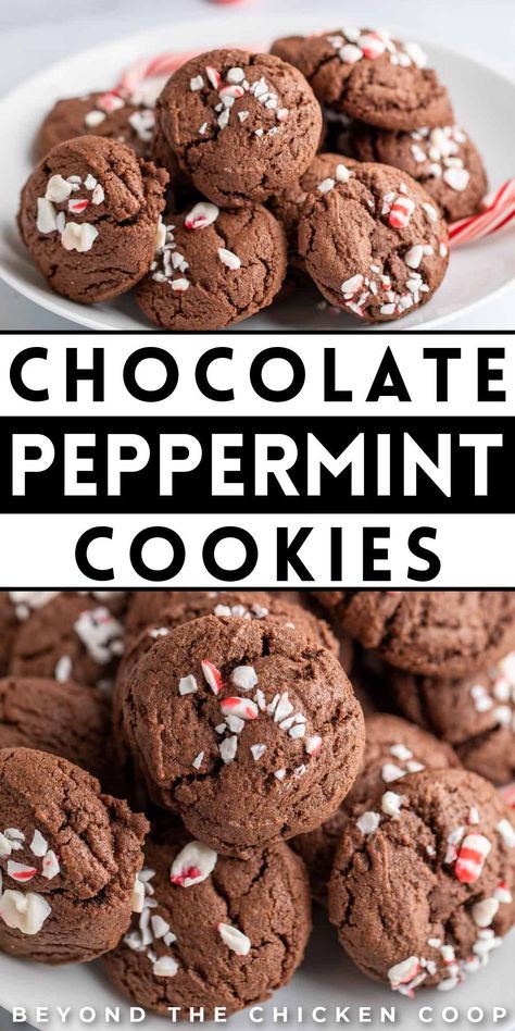 These chocolate peppermint cookies are a must-have for Christmas and holiday parties. These homemade treats are simple and easy baked delights that deliver the perfect combination of rich chocolate and refreshing peppermint flavors. Whip them up quickly for a delightful dessert or snack that will be a hit at any holiday festivity. Try these today. Chocolate Peppermint Cookies Recipe, Oatmeal Lace Cookies, Peppermint Cookie Recipe, Soft Chocolate Cookie, Peppermint Meringues, Peppermint Ice Cream, Jars Diy, Chocolate Peppermint Cookies, Hot Chocolate Cookies