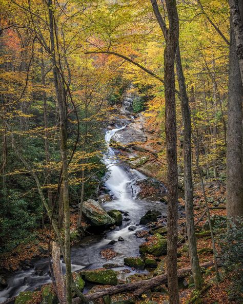 Getting Off the Beaten Path at 5 National Parks - The New York Times Civilian Conservation Corps, Mountains Hiking, Smoky Mountain National Park, Colorado River, Acadia National Park, Autumn Scenery, Grand Canyon National Park, Appalachian Trail, Off The Beaten Path