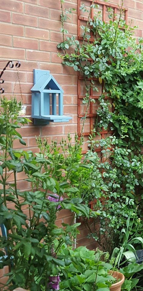 Robin house in my garden Robin House, European Robin, Gardens Flowers, My Garden, Bird Houses, Flower Garden, Projects To Try, Outdoor Structures, Birds