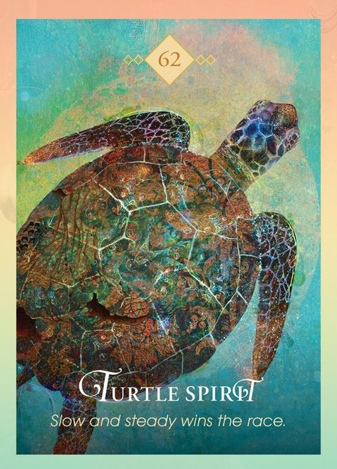 Animal Oracle Cards, Turtle Spirit Animal, Spirit Animal Totem, Angel Tarot, Angel Oracle Cards, Animal Spirit Guides, Animal Medicine, Animal Spirit, Power Animal