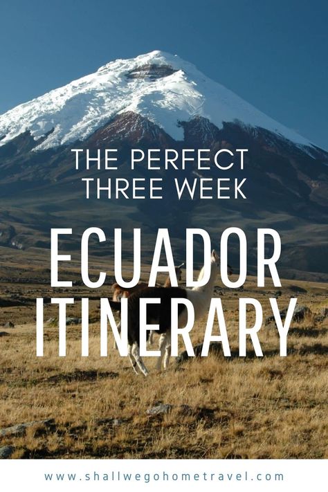 A fully planned three-week backpacking itinerary for Ecuador with some alternative route suggestions for the best trip to suit you. #ecuador #travel #backpacking #visitecuador #backpackecuador #route #itinerary #howto #threeweeks #week #7days #twoweeks #threeweeks #1month #onemonth #threeweekitinerary #itineraries #travelitinerary #travelroute #day #10days #14days Holiday Destinations Bucket Lists, Backpacking Itinerary, South America Travel Destinations, Ecuador Travel, Best Trip, Travel Inspiration Destinations, Travel Route, South America Travel, Travel Wanderlust