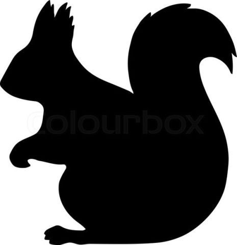 Squirrel Silhouette, Baby Flash Cards, Urs Polar, Applique Art, Magazine Crafts, Silhouette Images, Silhouette Stencil, Animal Silhouette, Holly Hobbie