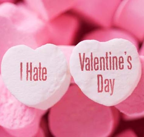 I Hate Valentines Day, I Hate Valentine's Day, Hate Valentines Day, Singles Awareness Day, Valentines Day Memes, Teddy Day, Propose Day, Valentines Day Wishes, Valentines Day Funny