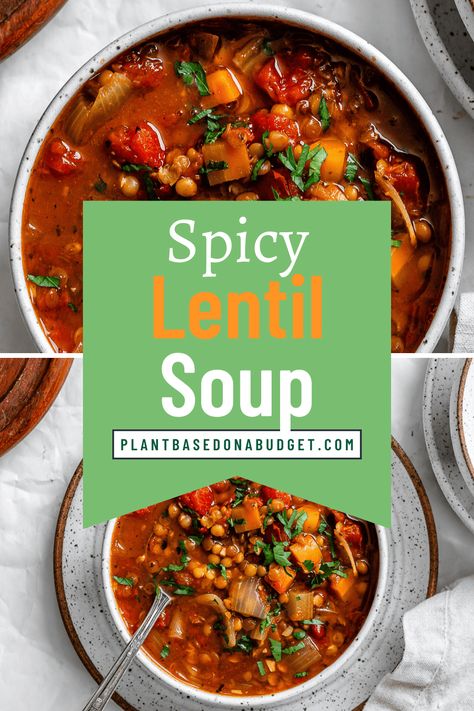 Spicy Lentil Soup Spinach Lentil Soup, Lentils Instant Pot, Spicy Lentil Soup, Tomato Lentil Soup, Tomato Lentils, Vegan Lentil Soup, Vegetarian Foods, Lentil Soup Recipes, One Pot Meal