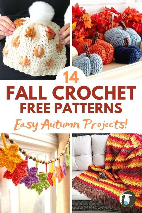 14 Fabulous Fall FREE Crochet Patterns Fall Crochet Patterns Free, Thanksgiving Crochet Patterns, Crochet Halloween Decorations, Fall Crochet Projects, Crochet Fall Decor, Autumn Projects, Thanksgiving Crochet, Crochet Project Free, Simple Knitting