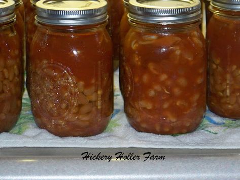 Canning Chili Beans, Canning Pork, Canning Chili, Pork And Beans Recipe, Stilton Soup, Canning Beans, Pork And Beans, Pressure Canning Recipes, Chili Beans