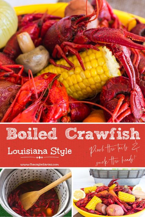 A traditionally Southern dish using crawfish caught nearby boiled with a blend of seafood seasonings and vegetables.  An easy how-to host your own crawfish boil.  #crawfishboil #boiledcrawfish #southerncooking How To Boil Crawfish, Deer Chili Recipe, Crawfish Boil Recipe, Boiled Crawfish, Southern Dinner, Louisiana Crawfish, Seafood Boil Recipes, Boiled Food, Seafood Gumbo