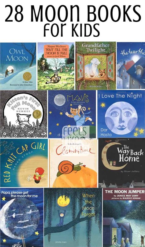 Twilight Moon, Owl Moon, Space Unit, Books A Million, Margaret Wise Brown, Moon Reading, Moon Book, Shape Books, Best Children Books