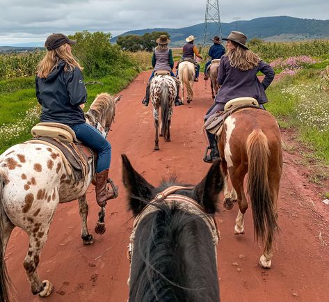 Two People Riding Horses, 2 People Riding A Horse, 2 People Horse Riding, Best Friends Horse Riding, Kids Riding Horses, Equestrian Friends, Group Horse Riding, Horse Riding Holiday, Woman Riding Horse