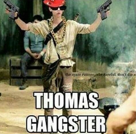 Gangster Meme, Thomas Brodie Sangster Imagines, Maze Runner Thomas, Maze Runner Trilogy, Maze Runner Funny, Maze Runner Imagines, Maze Runner Cast, Newt Maze Runner, Maze Runner Movie