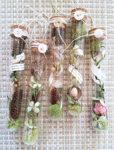 Test Tube Crafts, Acorn Caps, Bone Crafts, Deco Nature, Witchy Crafts, Altered Bottles, Deco Floral, Noel Christmas, Nature Crafts