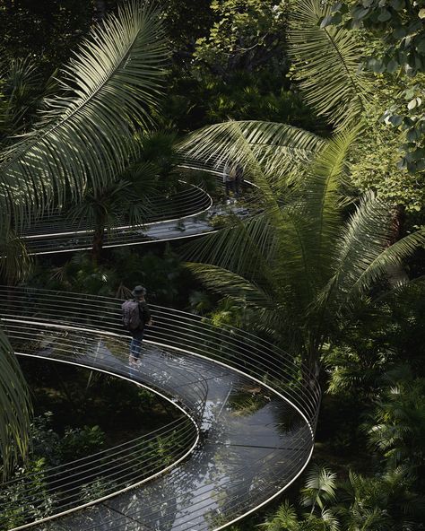 #bridge #concept #architecture #art #green #forest @jungle #cgi #archviz #palm #palmtree #rainforest #path #glass #tourist Path Ideas, Chinese Garden, Welcome To The Jungle, Concept Architecture, Amazing Architecture, Landscape Architecture, 3ds Max, 3d Art, Landscape Design