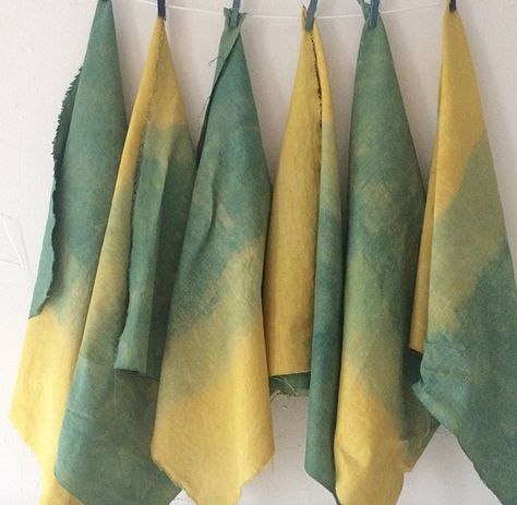 mix turmeric and shibori for yellow/green Fabric Dye, Shibori Dye, Indigo Colour, Indigo Dye, Dip Dye, How To Dye Fabric, Shibori, Natural Dyes, Art Projects