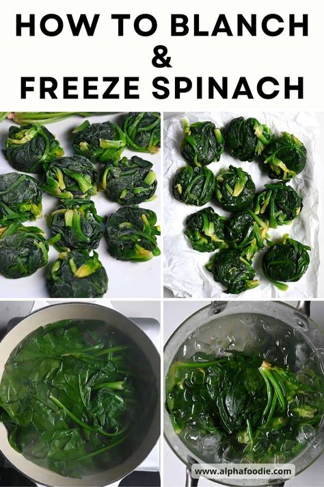 Though their prime season is the spring and summer, knowing how to freeze fresh spinach can keep your plate packed full of greens – and goodness – all year long. Freezing Fresh Spinach, Freeze Fresh Spinach, Freeze Spinach, Fresh Spinach, Frozen Spinach, Meal Ideas, Spinach, Helpful Hints, Dessert Recipes