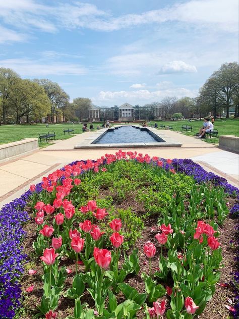 University of Maryland Maryland University Aesthetic, University Of Maryland Aesthetic, Romanticizing College, College Core, College Park Maryland, Dream College, University Of Maryland, College Park, Historical Events