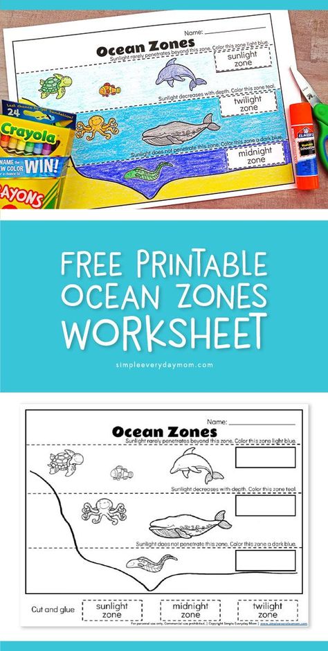 Free Printable Ocean Zones Worksheet | Teach young kids in preschool, kindergarten and first grade the zones of the ocean with this fun worksheet and coloring page.  #teacher #preschool #kindergarten #elementary #earlychildhood #freeprintable #kids #kidsandparenting #educationalactivities #ideasforkids Ocean Kindergarten, Ocean Lesson Plans, Layers Of The Ocean, Ocean Zones, Travel Venice, Ocean Habitat, Ocean Theme Preschool, Ocean Projects, Ocean Unit