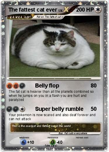 Funny Pokemon Cards, Pokemon Card Memes, Anna Robinson, Fake Pokemon Cards, Pokemon Card Packs, All The Planets, The Fat Cat, Cat Pokemon, Funny Pokemon