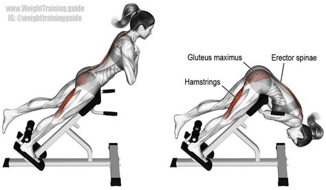 One leg hyperextension. A compound exercise. Target muscles: Hamstrings and Erector Spinae. Synergistic muscles: Gluteus Maximus and Adductor Magnus. Hyperextension Exercise, Body Building Workouts, Lower Back Workout, Best Back Exercises, Upper Back Exercises, Good Back Workouts, Crunches Workout, Trening Fitness, Home Exercise Routines