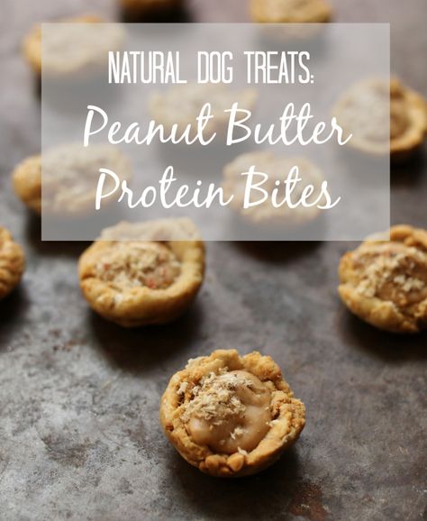 Natural Dog Treat Recipe: Peanut Butter Protein Bites | 17 Apart Pug Food, Natural Dog Treats Recipes, Peanut Butter Protein Bites, 3 Ingredient Dog Treats, Dog Treat Recipe, Apple Treat, Peanut Butter Dog Treats, Doggie Treats, Protein Treats