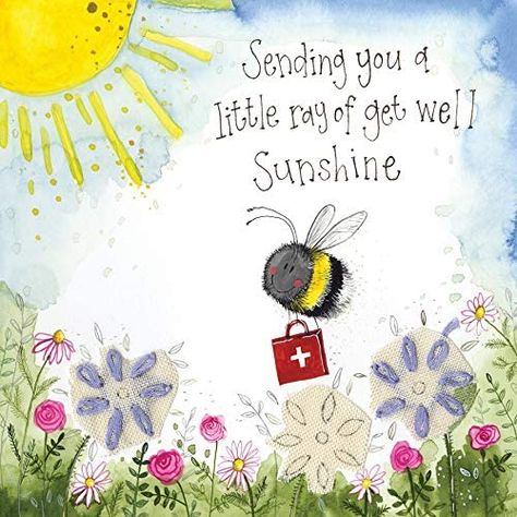 Get Well Card Messages, Get Well Soon Images, Get Well Soon Quotes, Bee Birthday Cards, Sunshine Card, Get Well Messages, Get Well Quotes, Thinking Of You Quotes, Hug Quotes