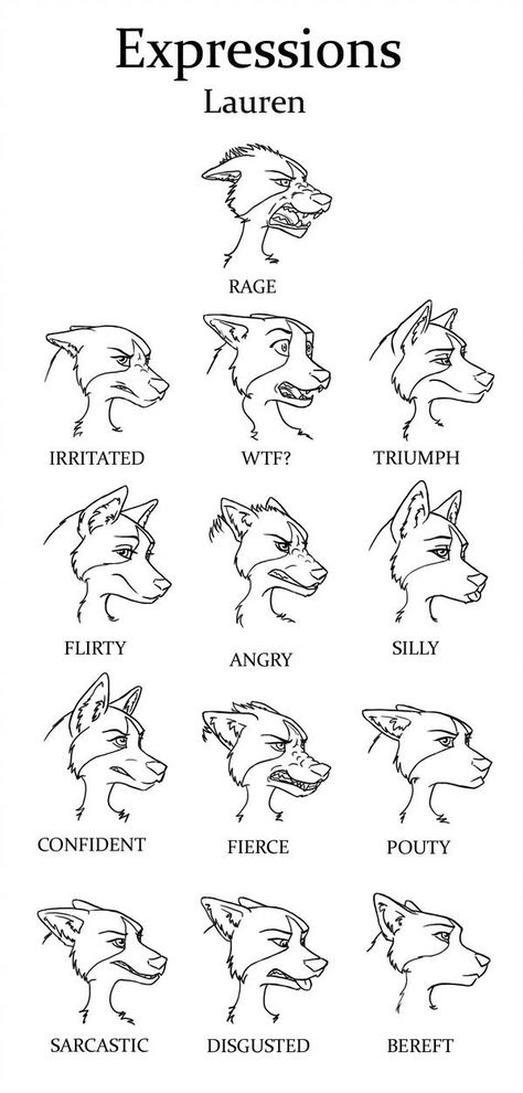 Lauren Expressions by daughterofthestars Anthro Expression Reference, Animal Expressions Drawing, Animal Drawing Tips, Cute Expressions Drawing, Wolf Expressions, Wolf Drawing Reference, How To Draw Wolf, Cool Wolf Drawings, Cartoon Wolf Drawing