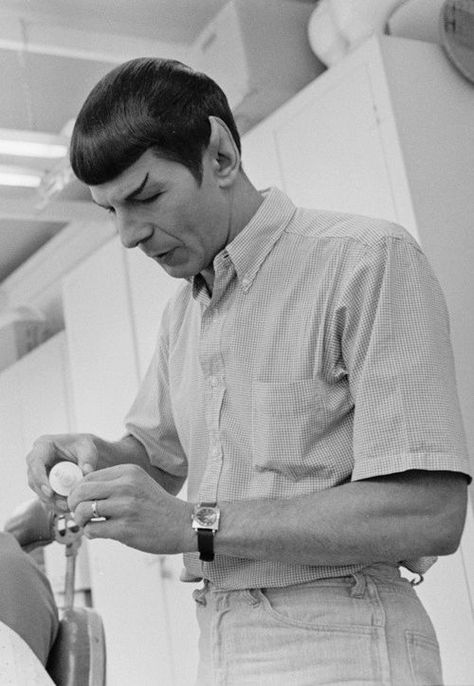 Leonard Nimoy #spock Hot Alien, Leonard Nimoy Spock, Star Trek Crew, Star Trek 1966, Star Trek Spock, Mr Spock, Star Trek Original Series, Star Trek Series, Star Trek Images