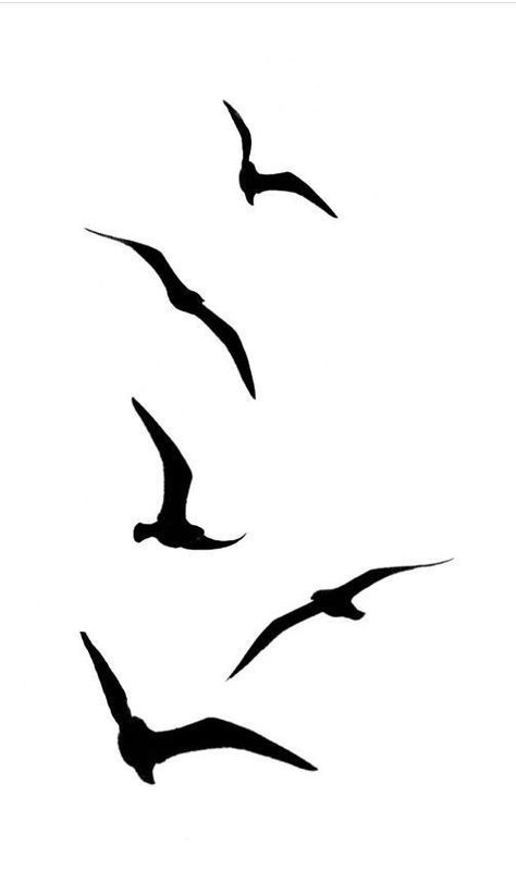 Albatross Drawing, Small Birds Tattoo, Eyes Drawing Tumblr, Bird Silhouette Tattoos, Hip Hop Tattoo, Japanese Tattoo Words, Simple Line Tattoo, Marine Tattoo, Gladiator Tattoo