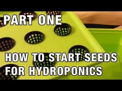 . Aquaponics Greenhouse, Aquaponics Diy, Hydroponic Farming, Hydroponics Diy, Aquaponic Gardening, Hydroponic Growing, Aquaponics System, Growing Fruit, Hydroponic Gardening