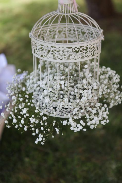 Birdcages Wedding Decor, White Bird Cage Decor, Birdcage Floral Arrangements, Birdcage Decor Ideas Wedding, Birdcage Wedding Centerpieces, Bird Cage Wedding Decor, Birdcage Decor Ideas, Birdcage Centerpiece, Birdcage Decor