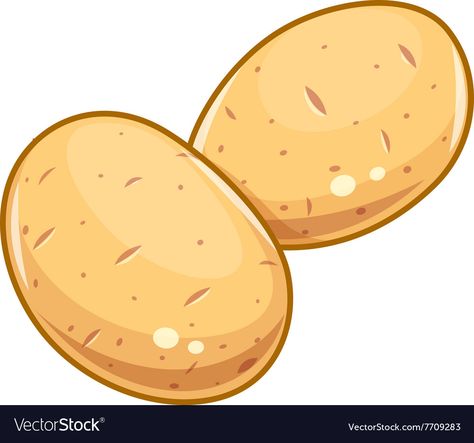 Potato Drawing Illustration, Potatoes Drawing, Potatoes Illustration, Potato Clipart, Potato Illustration, Potato Drawing, Potato Picture, Cartoon Potato, Shadows Drawing