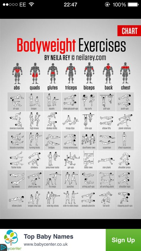 Body weight exercise for men or women full body Home Workout Plan For Men, Calisthenics Workout Program, Calisthenics Workout Routine, Calisthenics Workout Plan, Home Workout Plan, Fitness Studio Training, Home Workout Men, Workout Hiit, Workout Plan For Men