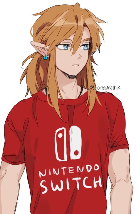 Link Botw, Link Cosplay, Ben Drowned, Link Art, Link Zelda, Disney Artwork, Zelda Art, Legend Of Zelda Breath, Zelda Breath