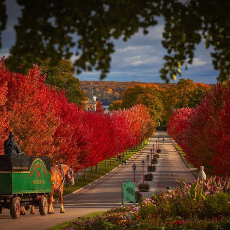 Mackinac Island in the Fall Mackinac Island Fall, Things To Do In Michigan, Mums In Pumpkins, Mackinac Island Michigan, Festival Camping, Fall Country, Fall Bucket List, Amish Country, Mackinac Island