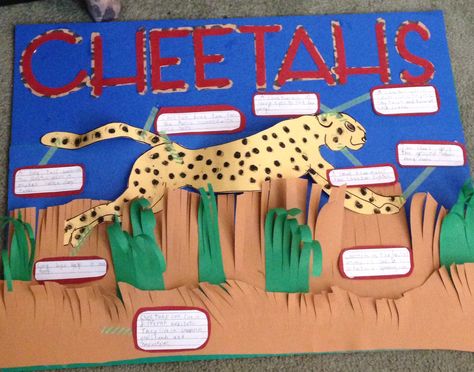 Cheetah Project Poster Cheetah Crafts, Animal Science Activities, Endangered Animals Project, Science Fair Projects Boards, Diarama Ideas, Project Poster, Animal Adaptations, Animal Poster, Animal Science