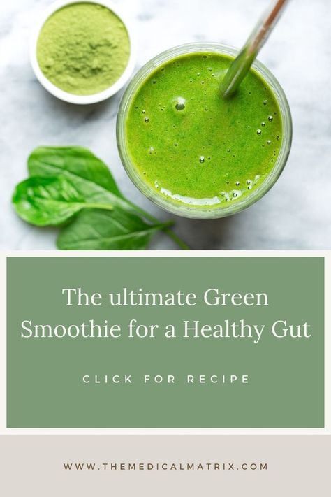 Check out our favorite green smoothie recipes for a healthy gut! #guthealth #guthealing #naturalremedies #greensmoothie #quicksmoothie #greensmoothierecipie #healthy #antiinflammatory Digestion Smoothie, Green Smoothie Recipes Healthy, Healing Smoothie, Healthy Gut Recipes, Green Juice Smoothie, Veggie Smoothies, Best Green Smoothie, Gut Healing Recipes, Smoothie Recipes Healthy Breakfast