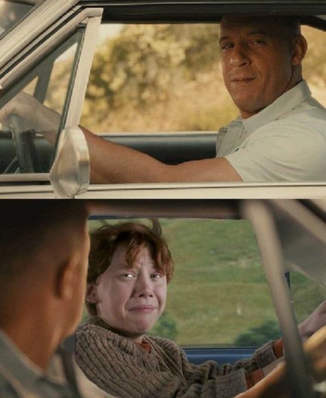 Fast And Furious Memes, Cant Stop Laughing, Glume Harry Potter, Dominic Toretto, Image Spiderman, Memes Br, Funny Tumblr Posts, Paul Walker, Can't Stop Laughing