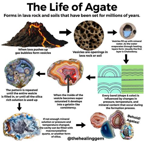 Oregon Agates, Geology Rocks Mineral, Geology Art, Types Of Rocks, Raw Gemstones Rocks, Rock Identification, Collateral Beauty, Gemstones Chart, Rock Collecting