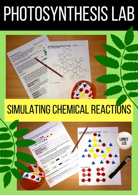 Demonstrate the chemical reaction of photosynthesis with this hands on lab! Photosynthesis Lab, Photosynthesis Activities, Photosynthesis Worksheet, Life Science Activities, School Biology, Science Labs, Single Flowers, Physics And Mathematics, High School Science