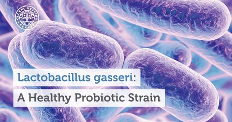 Lactobacillus Gasseri, Prebiotic Foods, Allergic Rhinitis, Lipid Profile, Flora Intestinal, Probiotic Benefits, Gut Flora, Speed Up Metabolism, Gut Microbiota