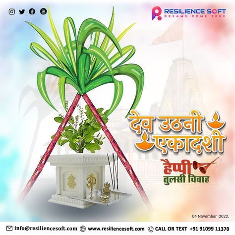 May the sacred day of Tulsi Vivah shower you with good health, wealth, peace, prosperity and profound happiness. We pray that Lord Vishnu removes all obstacles from your spiritual and earthly life. Wishing You All A Very Happy Dev Uthani Ekadashi! #happydevuthaniekadashi #happytulsivivah #prabodhiniekadashi #devutthanaekadashi #tulsiandsaligramvivah #indianfestivals #divineblessingsoflordvishnu Happy Tulsi Vivah, Tulsi Vivah, Diwali Images, Website Development Company, Lord Vishnu, Health Wealth, Indian Festivals, Global Business, My Photo Gallery