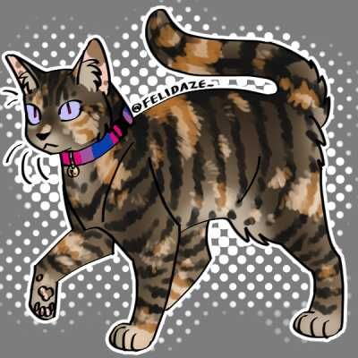 Picrew｜The make-and-play image maker Warrior Cats Oc Maker, Warrior Cats Picrew, Picrew Cat Maker, Pfp Maker Picrew, Cat Picrew, Cat Genetics, Pfp Maker, Oc Makers, Cosy Homes