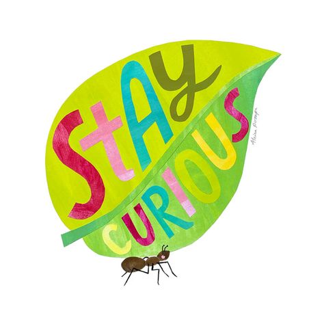 Stay Curious, Classroom Quotes, Clear Bag, Classroom Posters, Handmade Business, Mat Board, Sarasota, Free Paper, Art Room