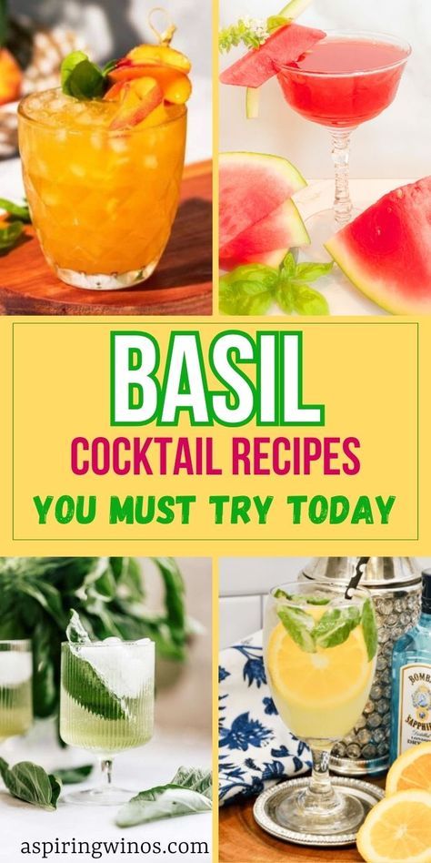 Basil Cocktails: Elevate Your Happy Hour with Fresh Flavors | Fresh Herb Cocktail Recipes | Basil Infused Cocktail Recipes | Amazing Fresh Cocktails You Need to try | Basil Cocktail Recipes #Basil #BasilCocktails #BasilRecipes #Cocktail #CocktailRecipes #FreshHerbCocktails Basil Cocktail Recipes, Basil Cocktails, Basil Drinks, Strawberry Basil Margarita, Fresh Cocktails, Fresh Basil Recipes, Basil Simple Syrup, Basil Cocktail, Strawberry Basil Lemonade