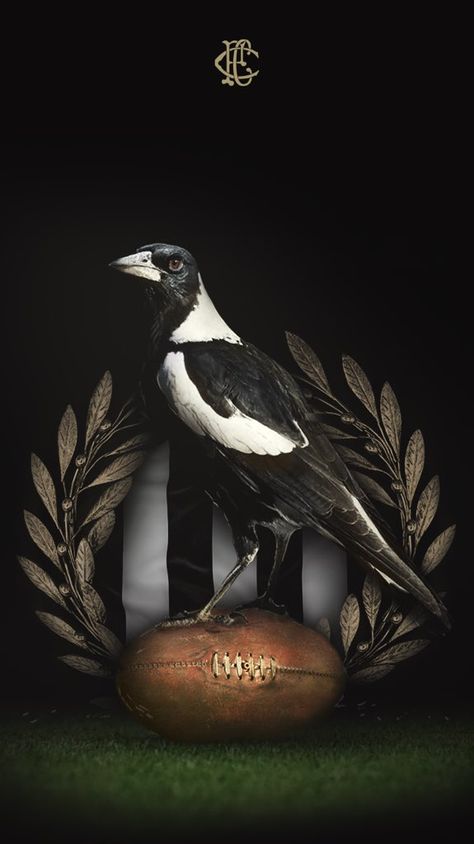 Ralph Steadman Art, Magpie Tattoo, Collingwood Football Club, Club Tattoo, Ralph Steadman, Basketball Photography, Best Club, Magpie, Football Club