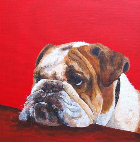 Looks like my bulldog! Vintage Bulldog Illustration, English Bulldog Drawing, English Bulldog Painting, Pets Painting, Bulldog Painting, English Bulldog Art, Dogs Painting, Bulldog Drawing, Bulldog Art Print