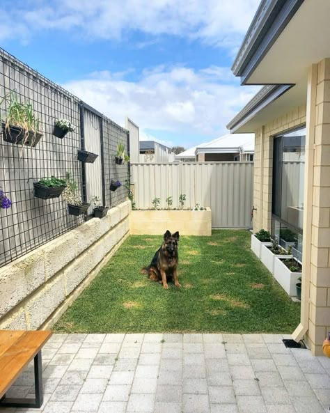 The Top 63 Small Backyard Ideas - Landscaping and Design Narrow Backyard Ideas, Backyard Design Ideas Budget, Backyard Layout, No Grass Backyard, Small Backyard Design Ideas, Backyard Design Ideas, Backyard Renovations, Small Backyard Ideas, Backyard Spaces