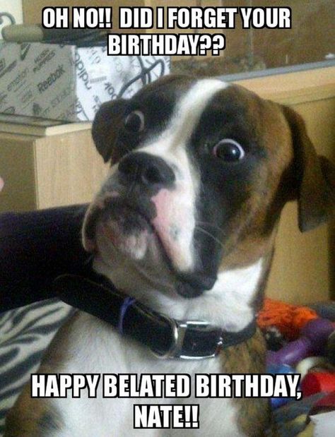 85 Happy Belated Birthday Memes - "Oh no!! Did I forget your birthday?? Happy belated birthday, Jack! Happy Birthday Mom Meme, Happy Birthday Nephew Funny, Funny Fishing Memes, Weather Humor, Dogs Humor, Hot Weather Humor, Mom Meme, Happy Birthday Memes, Happy Birthday Nephew