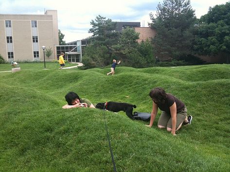 The Wave field by Maya Lin - Free interaction Maya Lin, Urban Landscape Design, School Garden, Nature Play, Design Landscape, Outdoor Playground, Historic Preservation, Outdoor Landscaping, By Grace