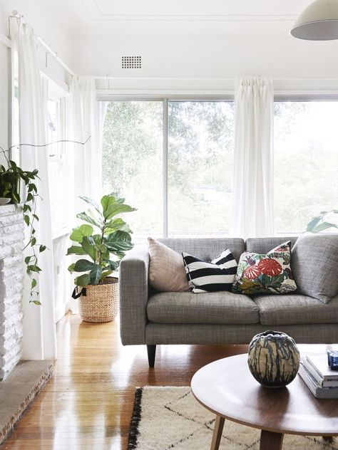 Amber Creswell Bell and Andy Bell — The Design Files | Australia's most popular design blog. Sofa With White Walls, Light Grey Sofa Living Room Ideas, Andy Bell, Gray Couch, Grey Couch, Room Vibes, Grey Sofa, Plant Basket, Fiddle Leaf